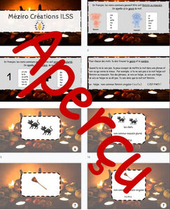 Le genre et le nombre - débutant - Halloween